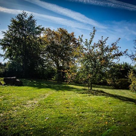 Ferienwohnung Zum Forsthaus Oberviechtach 外观 照片
